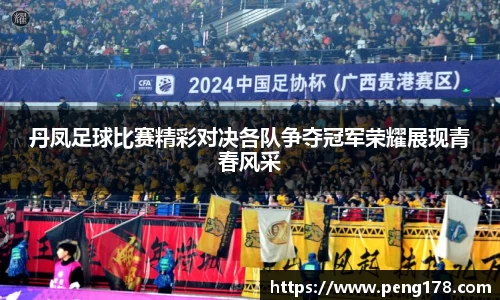 丹凤足球比赛精彩对决各队争夺冠军荣耀展现青春风采